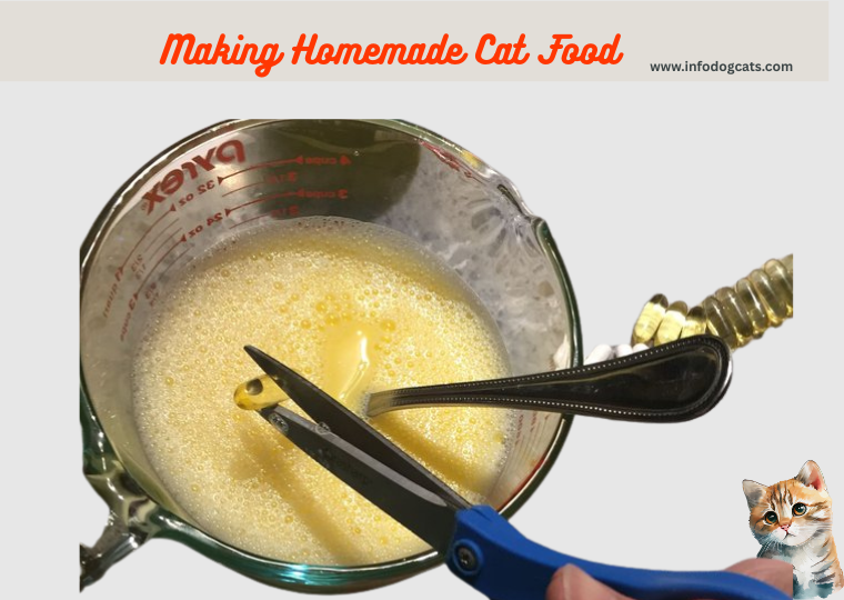 Cat Food Recipe