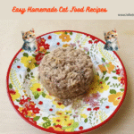Easy Homemade Cat Food Recipes