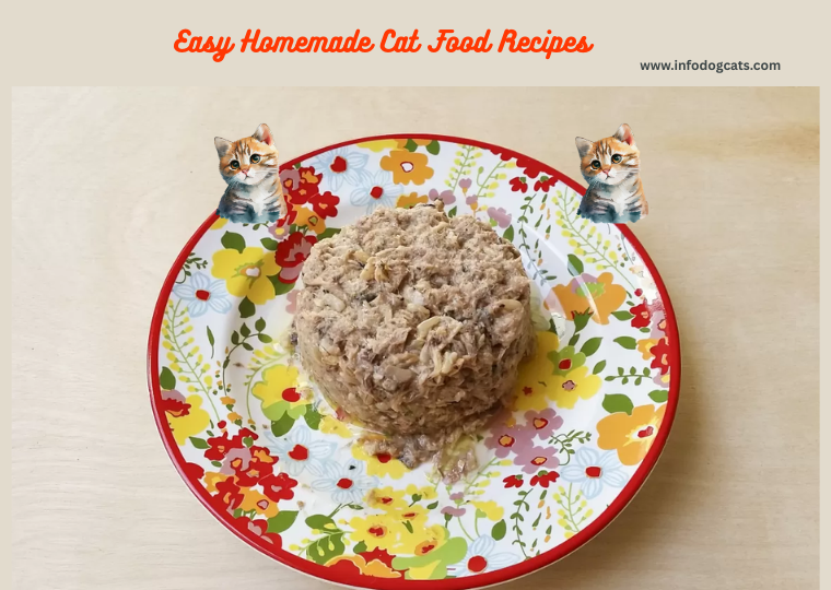 Easy Homemade Cat Food Recipes