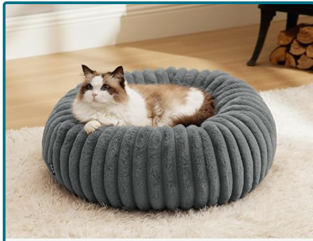 The Best Cat Bed