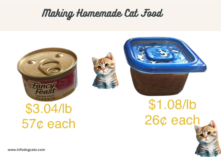 Making Homemade Cat Food
