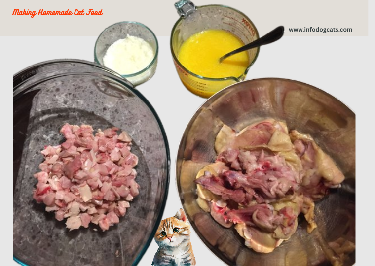 Cat Food Recipe