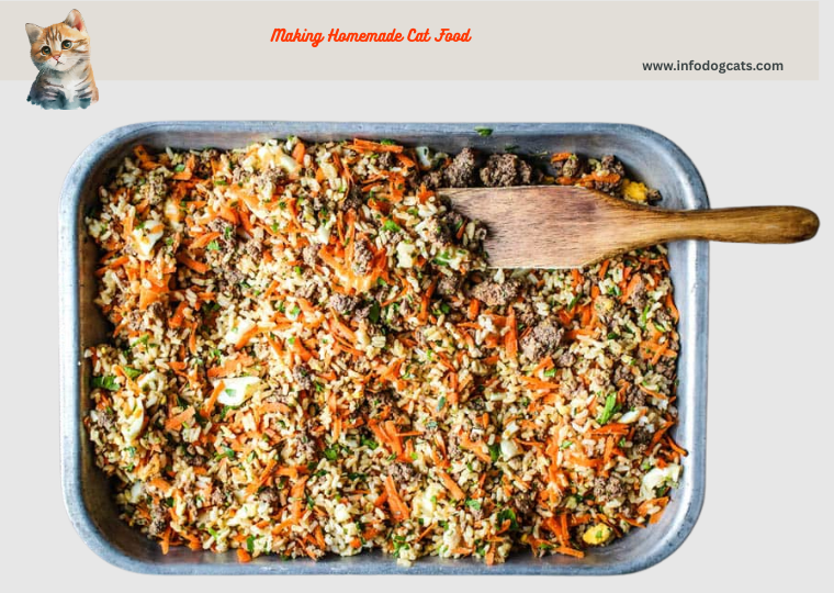 Easy Homemade Cat Food Recipes Easy Homemade Cat Food Recipes