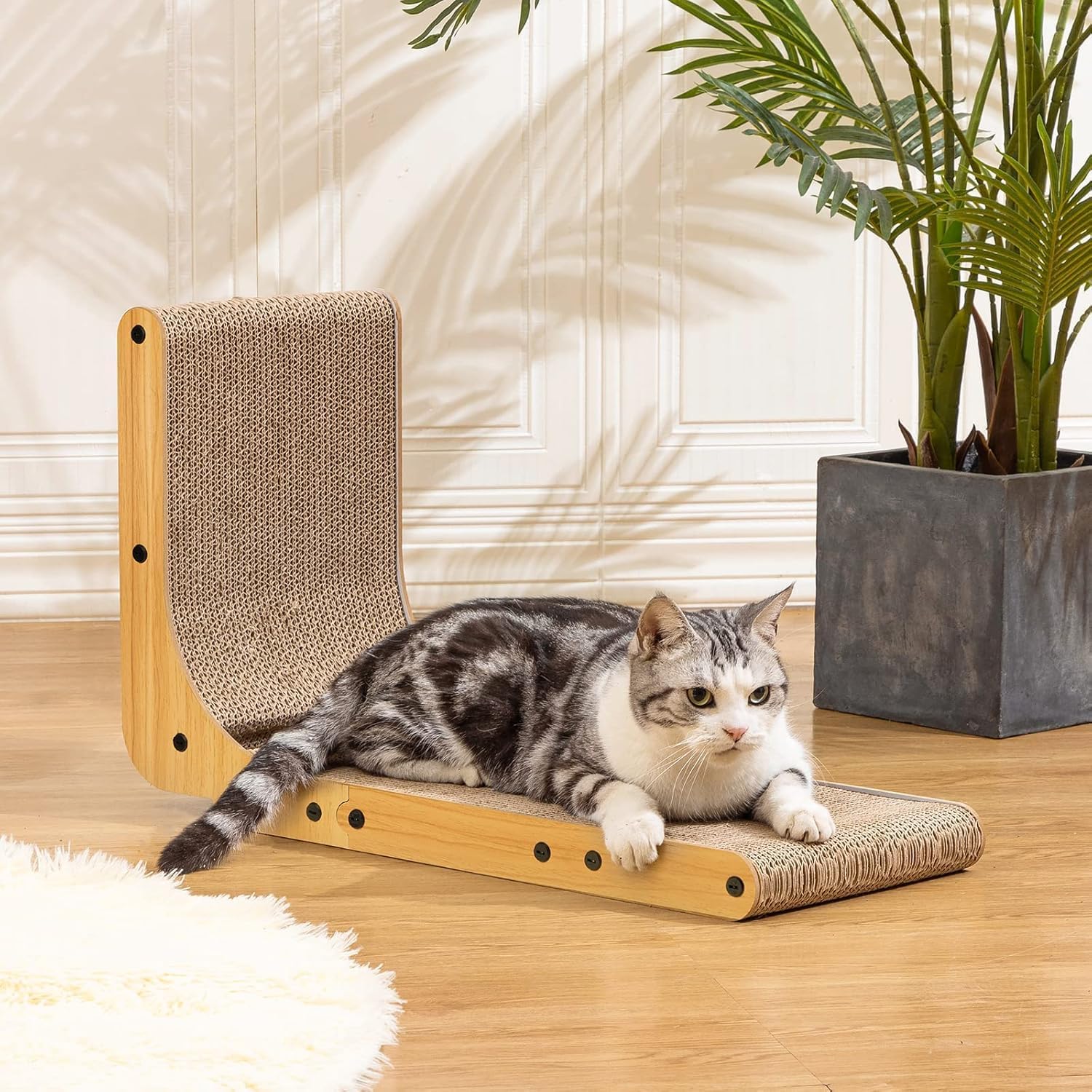 Cat Scratcher Australia