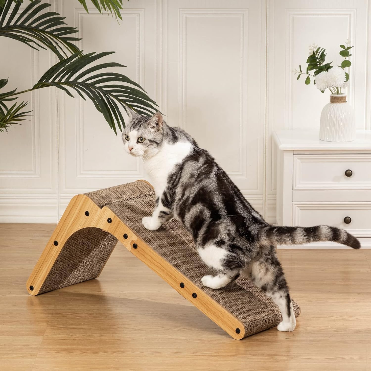 Cat Scratcher