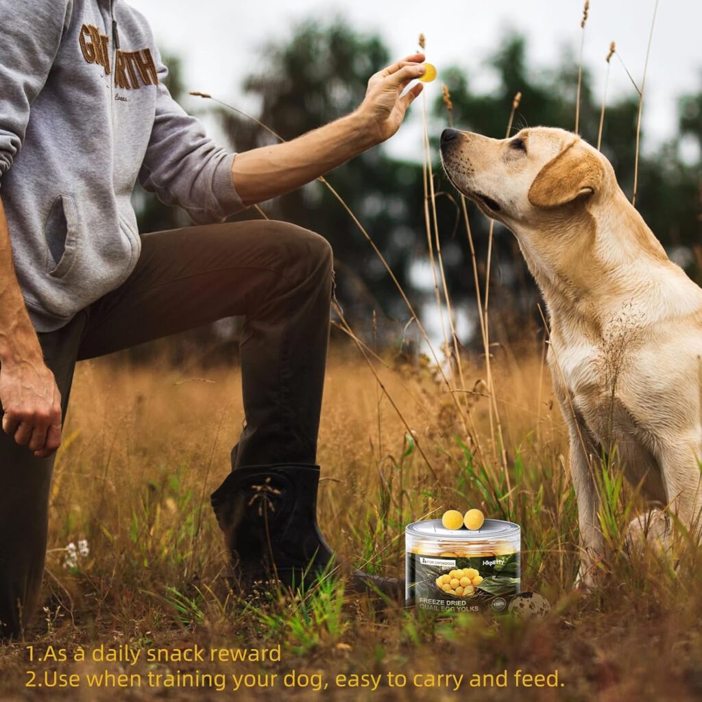 freeze dried cat treats