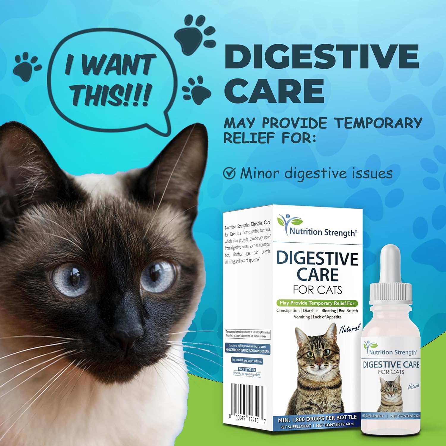  Best Cat Food to Stop Vomiting