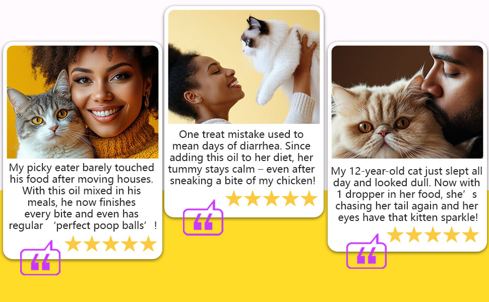  Best Cat Food to Stop Vomiting cats food
