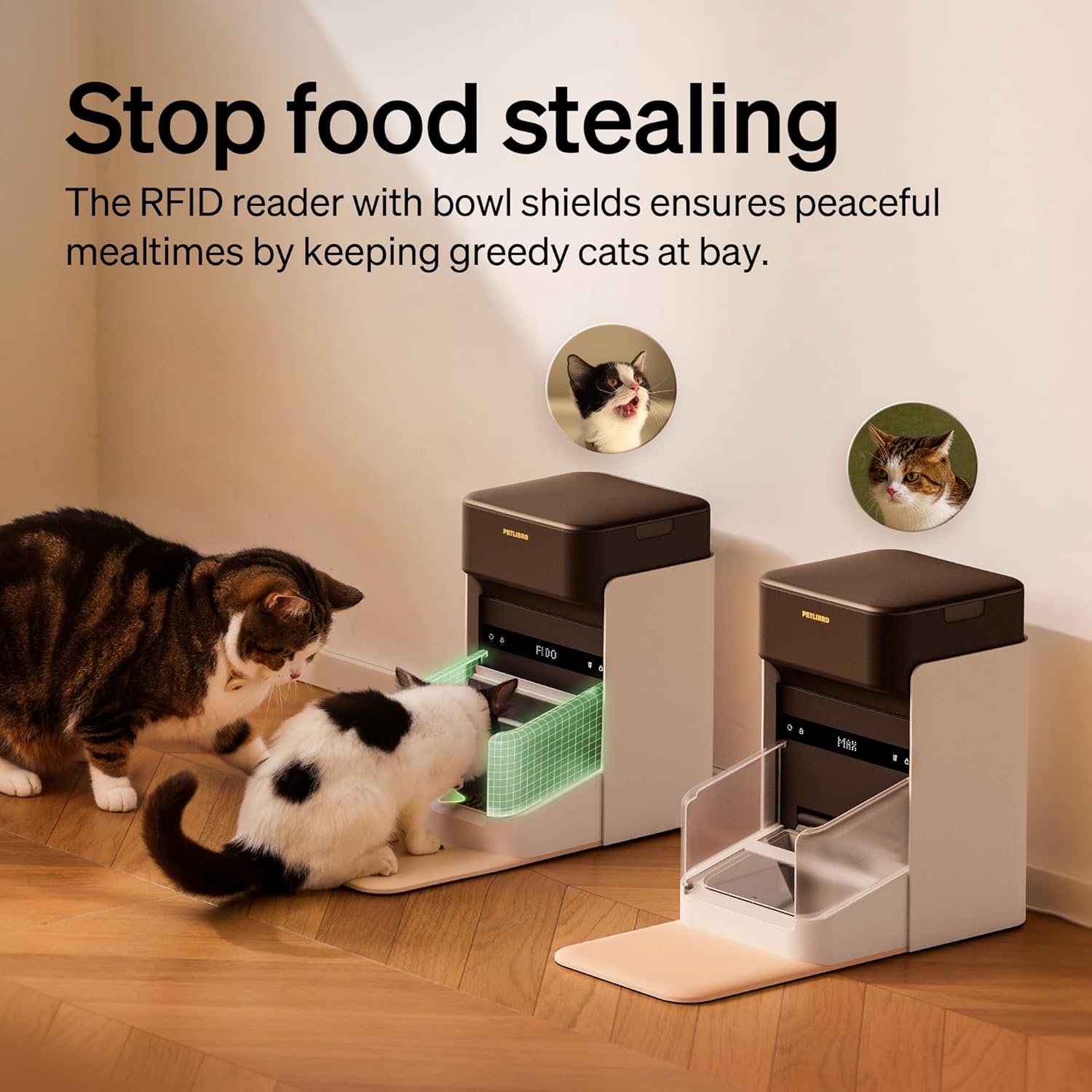 PETLIBRO RFID Automatic Cat Feeder Smart Feeding for Multi-Cat Homes Australian Cat Breeds