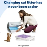 Crystal cat litter tray with silica crystals in a clean indoor home setting