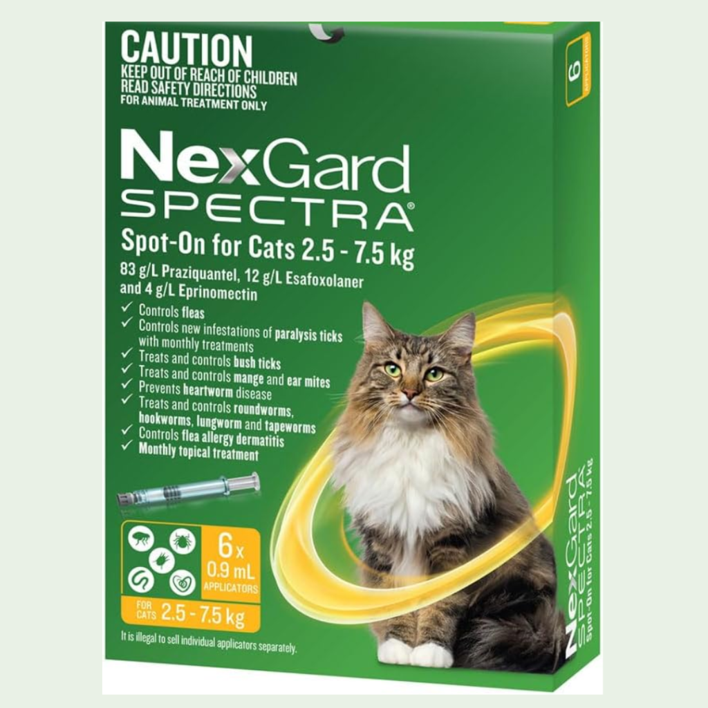 Orange tabby cat in an Australian home with a smartphone showing 2026 vet guide for best flea treatment for cats in Australia.