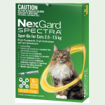Orange tabby cat in an Australian home with a smartphone showing 2026 vet guide for best flea treatment for cats in Australia.