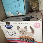 Best Cat Food for Cats in Australia (2026): Top Vet-Recommended Picks - Australian Pet Guide A variety of premium dry and wet cat food brands available in Australia.