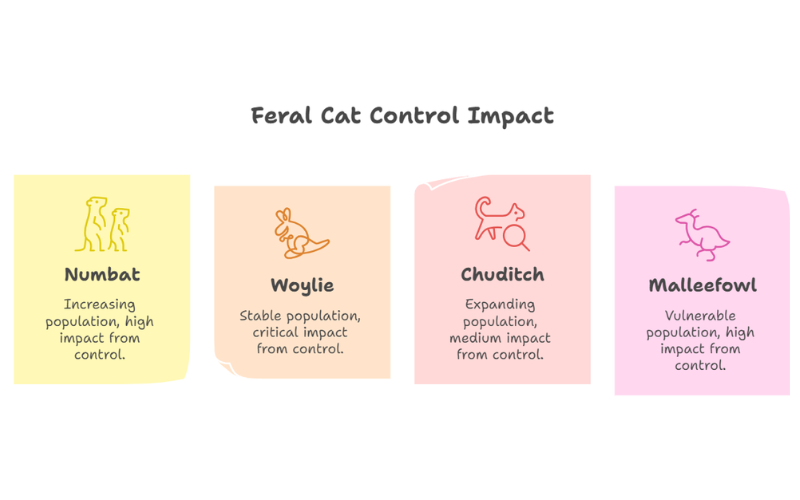 Feral cat monitoring Dryandra Woodland 2026 stats
