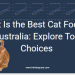 Best cat food brands available in Australia