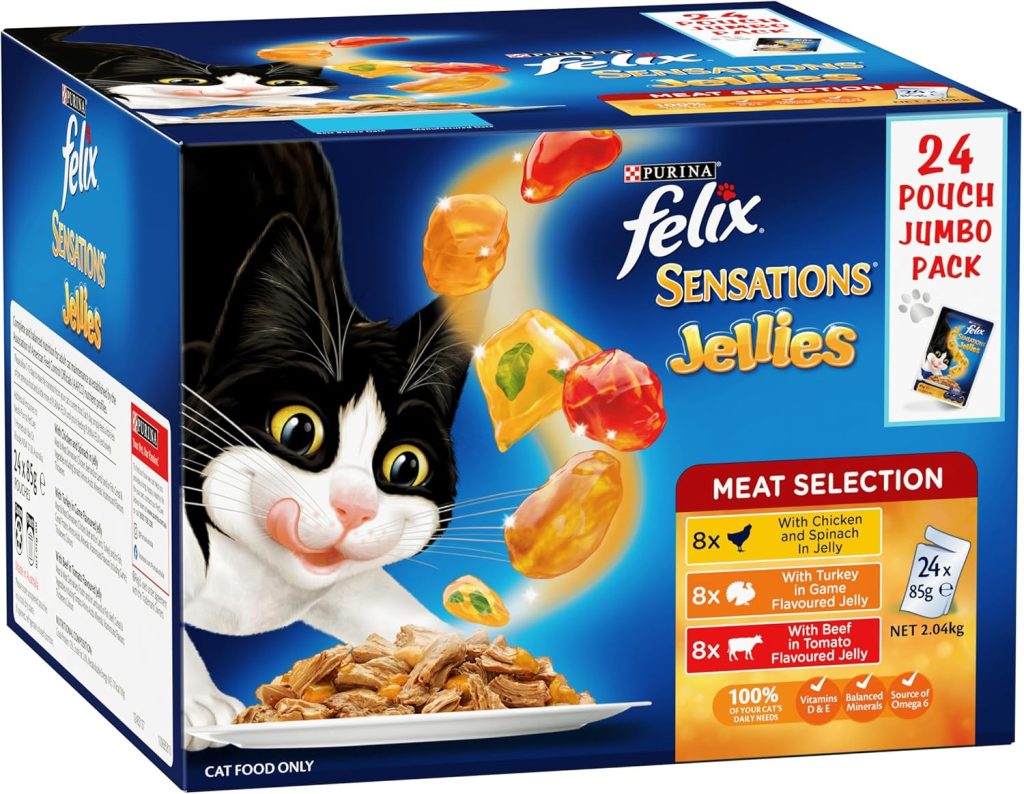 What Are the 7 Best Dry Cat Food Brands for Indoor Cats