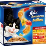 What Are the 7 Best Dry Cat Food Brands for Indoor Cats