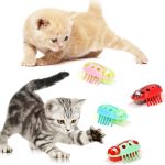 What are signs my cat is still bored despite new toys