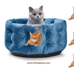 The ClevaHome Deep Nest Cat Bed Review: Why Indoor Cats and Small Pets Love This Cozy Retreat - Australian Pet Guide ClevaHome Deep Nest Cat Bed in Steel Blue with plush velvet exterior and high rounded sides